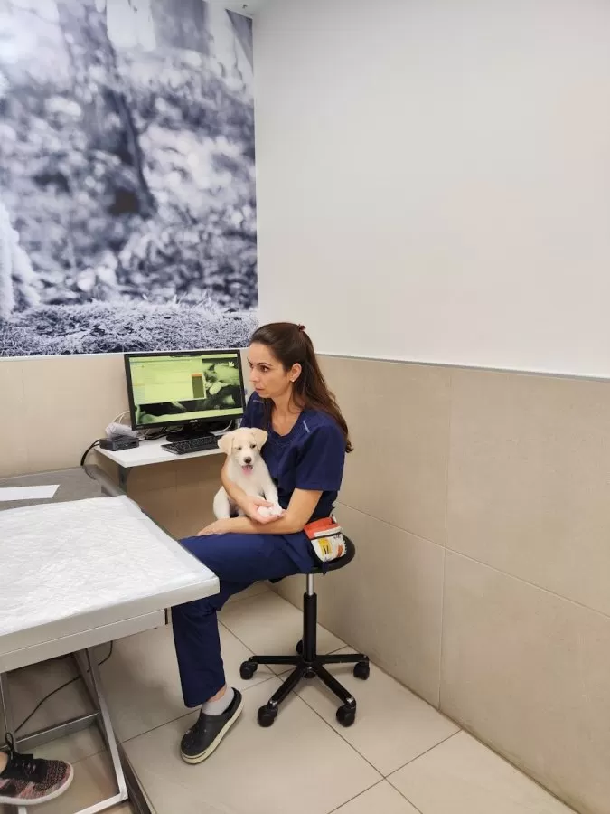 AniCura Canis i Felis Hospital Veterinari - Photo 5