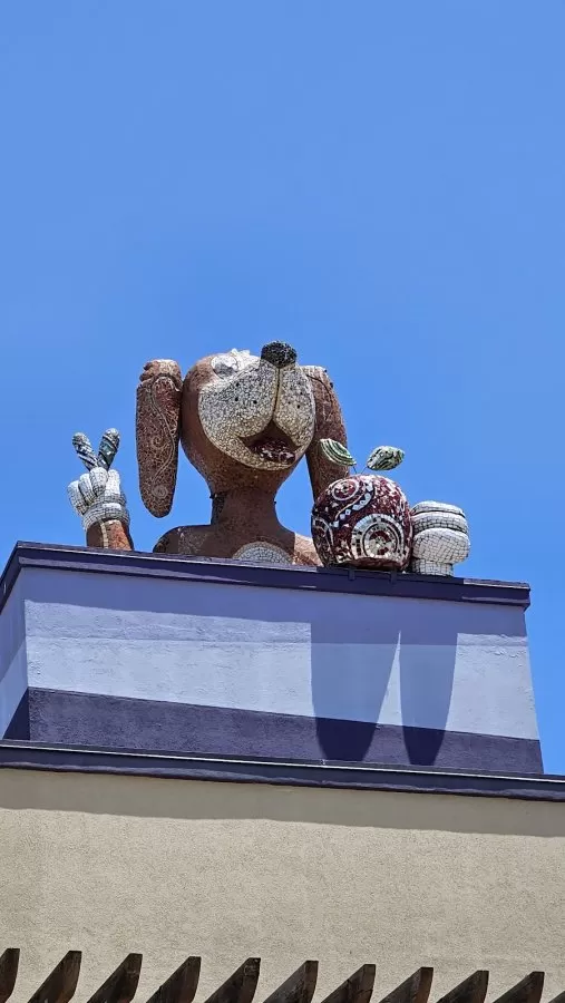 Children's Hospital of the Californias - Photo 4