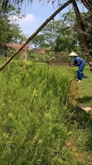 Phòng Khám YHCT Viên Minh Đường - Photo 8