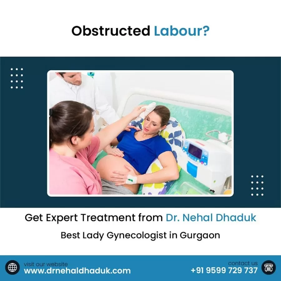DR NEHAL DHADUK- Best OBSTETRICIAN-GYNAECOLOGIST in gurgaon, Infertility specialist and laparoscopic surgeon - Photo 4
