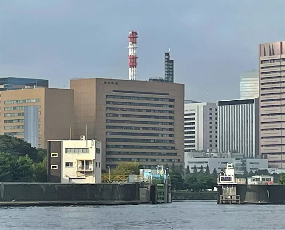 Rare Cancer Center / National cancer center Japan - Photo 3