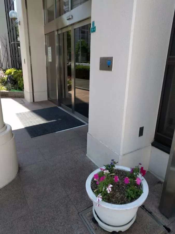 Kisei Clinics - Photo 3