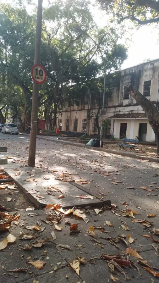 Centro Psiquiátrico Rio de Janeiro (CPRJ) - Photo 8