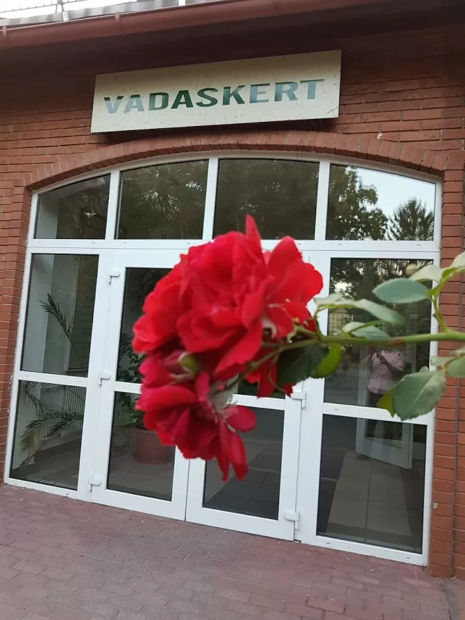 Vadaskert Foundation for Children's Mental Health - Photo 2