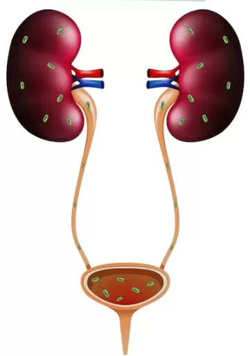 Best Nephrology Hospital in India - Photo 1