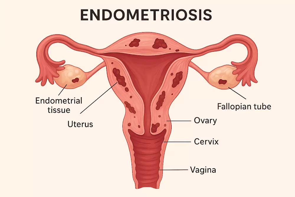 Lotus Women's Hospital / Best Gynecologist & Obstetrician in Ahmedabad (Shela) ,Gujarat - India/Top 5 Gynecologist - Photo 8