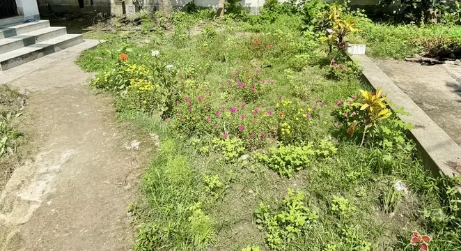Kolkata Super Speciality Mental Nursing Home || Best Mental Hospital In Kolkata - Photo 8