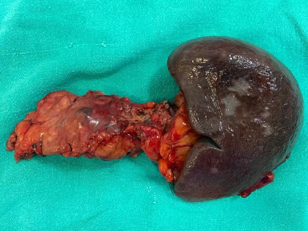 Dr Manoj Gupta - Photo 3