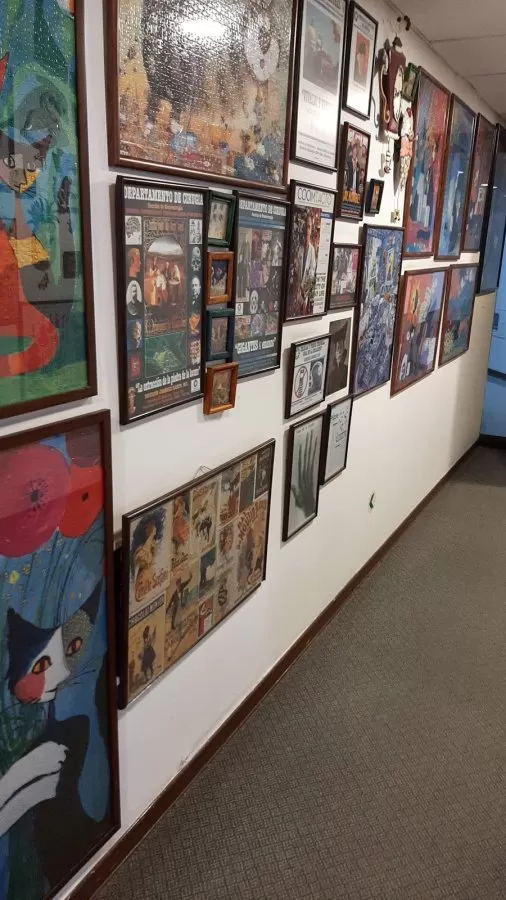 Asociación Médica De Los Andes - Photo 2