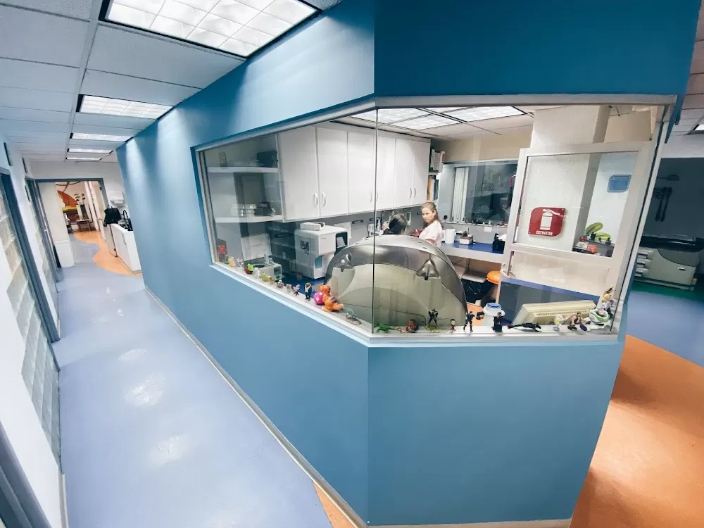 Ninnus - Comprehensive Pediatric Center - Photo 2