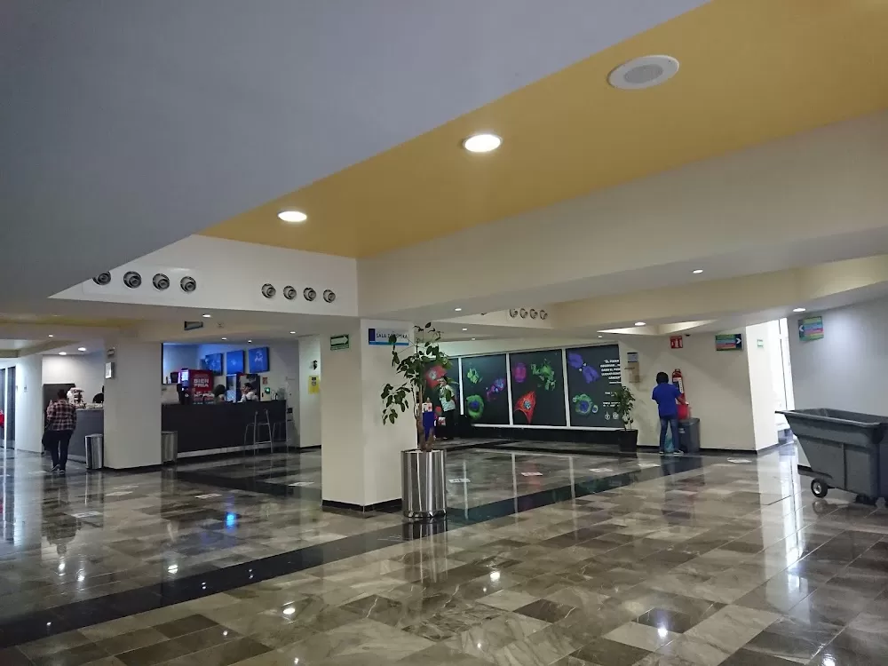 The National Cancer Institute - Photo 2