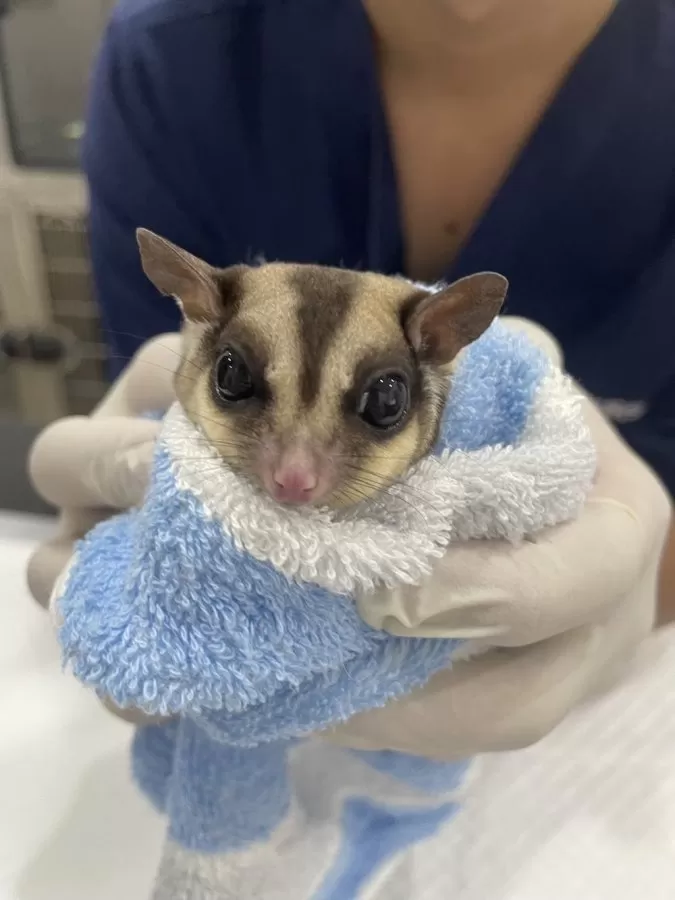 J.P. Animal Hospital - Photo 7