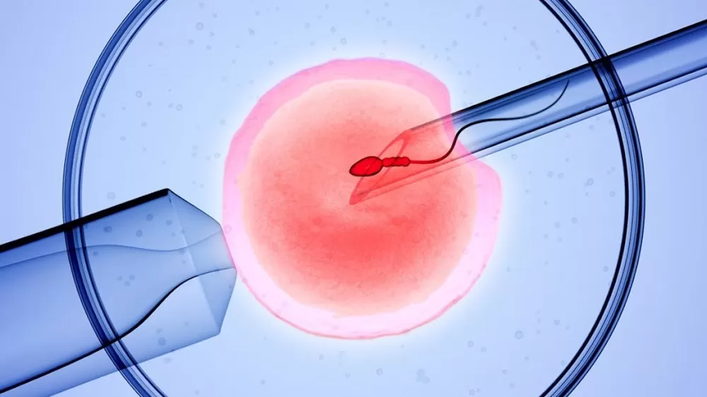 Malti Hospital & Test Tube Baby Centre | IVF Hospital | Test Tube Baby Hospital | Infertility Treatment | IVF | Bhopal - Photo 8