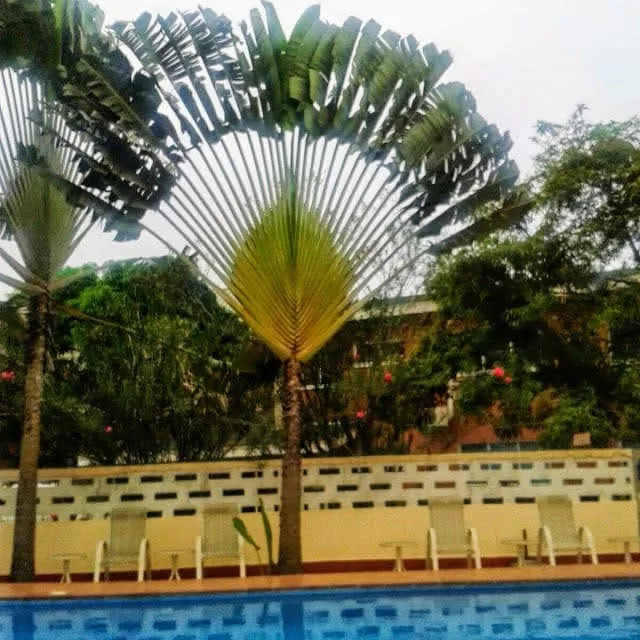 Surp Agop Hospital - Photo 1