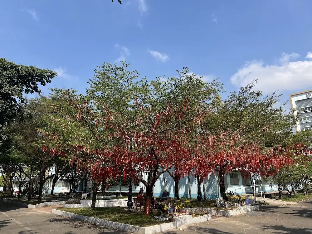 HCMC Hospital for Rehabilitation & Professional Diseases - Photo 5