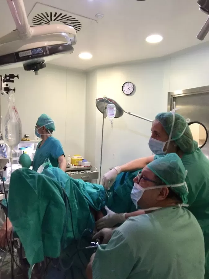 GINESAN - Dr. Tabara Gómez. - Photo 3