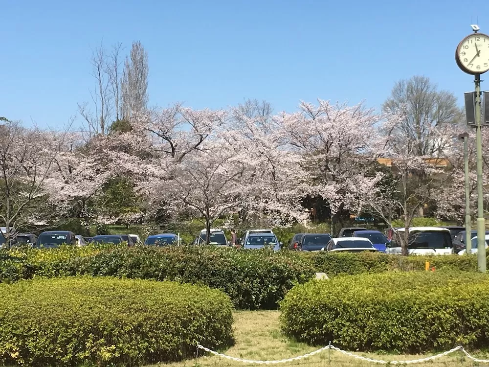 Kantō Central Hospital of the Mutual Aid Association of Public School Teachers - Photo 1