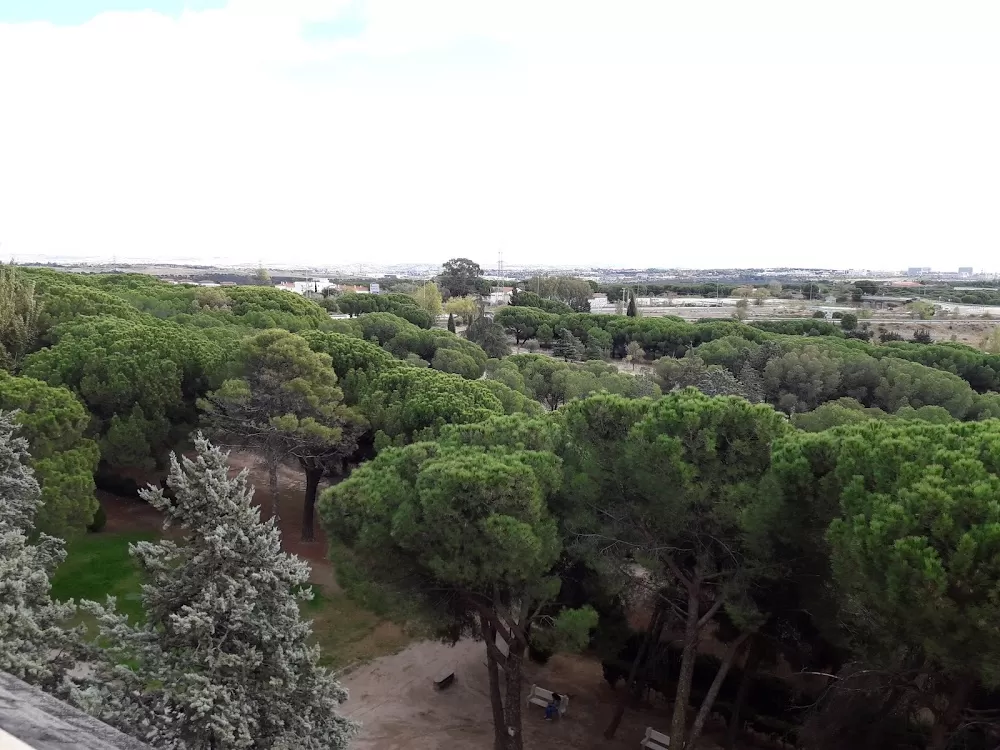 Hestia Health Madrid - Photo 4