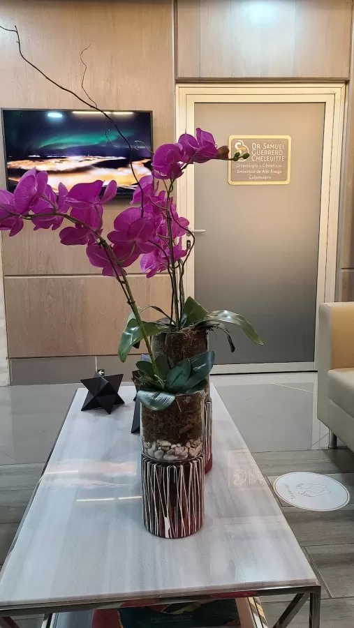 Women's Care Center - Photo 3