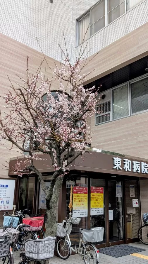 Tōwa Hospital - Photo 1