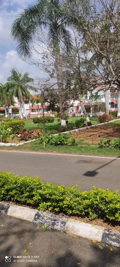 Echs Chennai - Photo 1