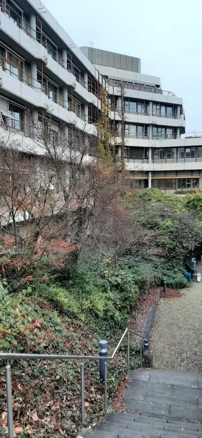 Klinik und Poliklinik für Mund-, Kiefer- und Gesichtschirurgie, Universitätsklinikum Heidelberg - Photo 6