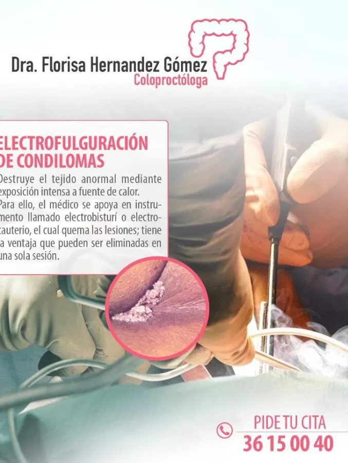 Hernandez Gomez Florisa - Photo 7