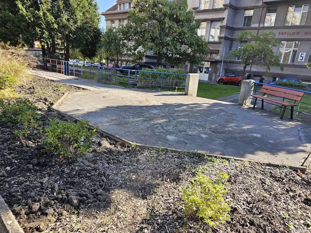 FN Bulovka - Chirurgie DOSPĚLÍ (pavilon 5) - Photo 6