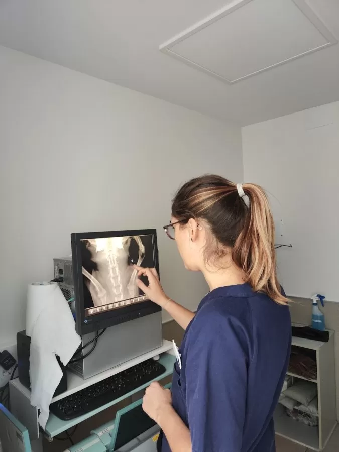 AniCura Canis i Felis Hospital Veterinari - Photo 6