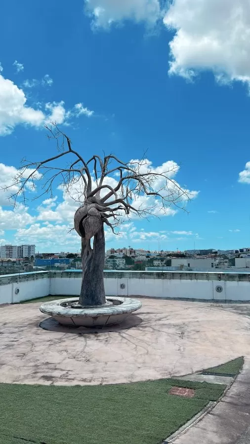 Cedimat Cardiovascular Center - Photo 7