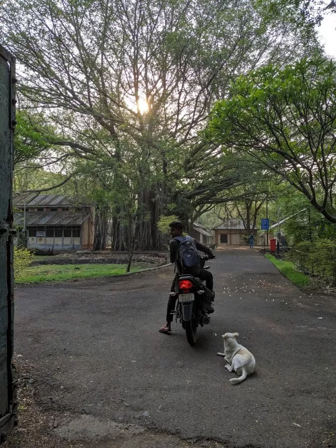 Yerwada Mental Hospital, Back Gate - Photo 2