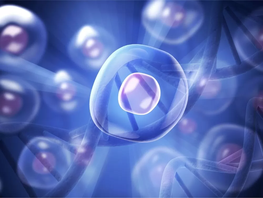 Stem Cells Costa Rica - Photo 1