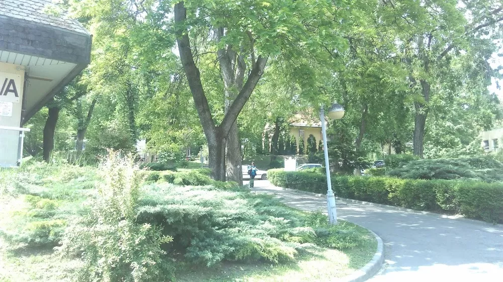 National Institute of Oncology - Photo 8
