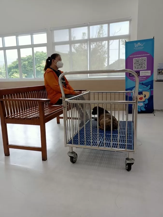 Northern Regional Veterinary Healthcare and Learning Center - Photo 6