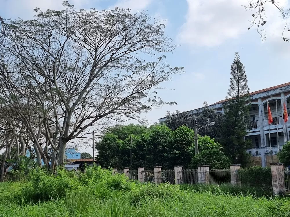 Le Minh Xuan Mental Hospital - Photo 3