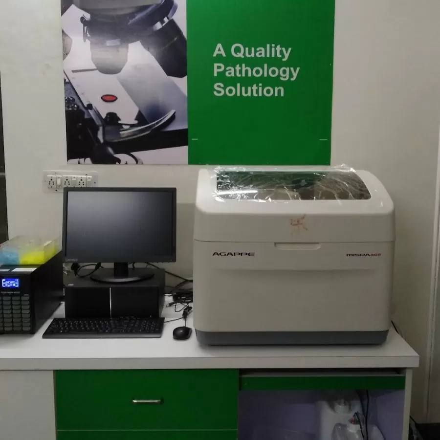 Wellness Healthcare - Photo 2
