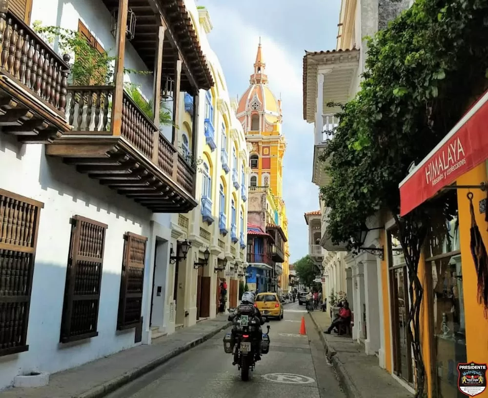 CENTRO DE ESPECIALISTAS SANTO DOMINGO - Photo 6