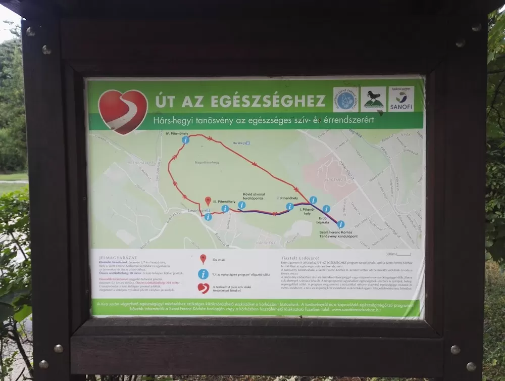 Út az egészségért Hárshegyi tanösvény - Photo 6
