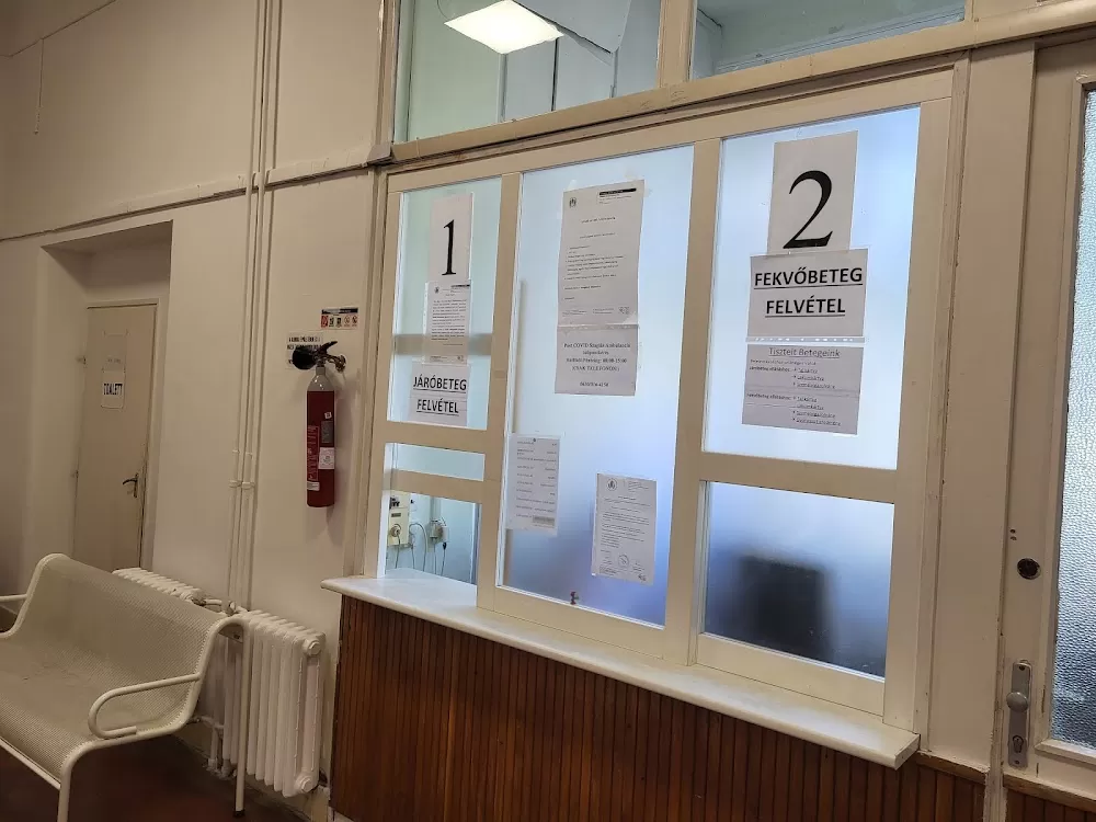 Semmelweis University Department of Otorhinolaryngology, Head and Neck Surgery - Photo 2