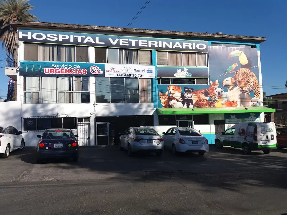Hospital Veterinario Chapultepets Tijuana - Photo 3