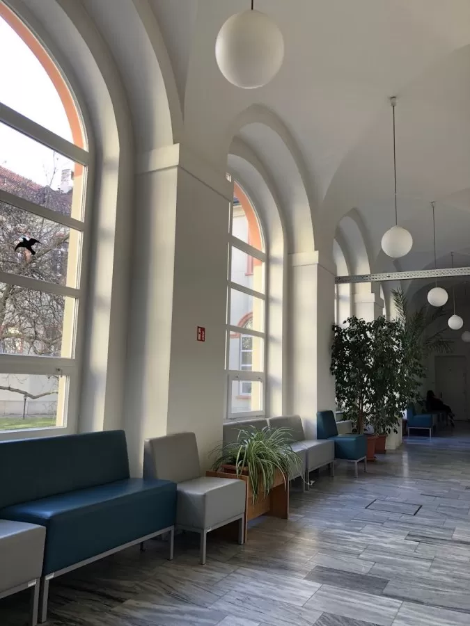 Institute of rheumatology - Photo 8