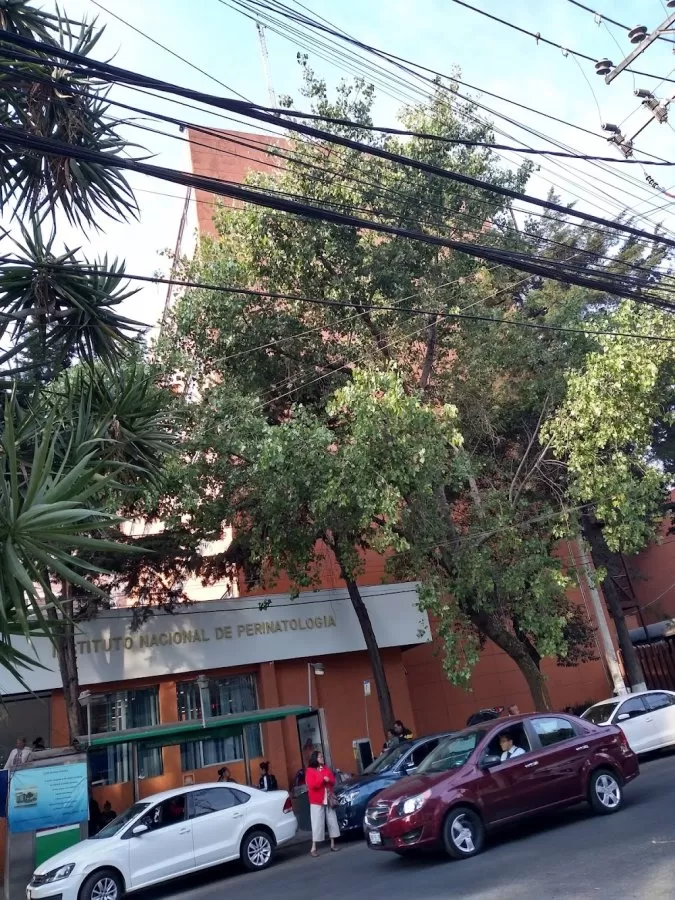 Instituto Nacional De Perinatologia - Photo 2