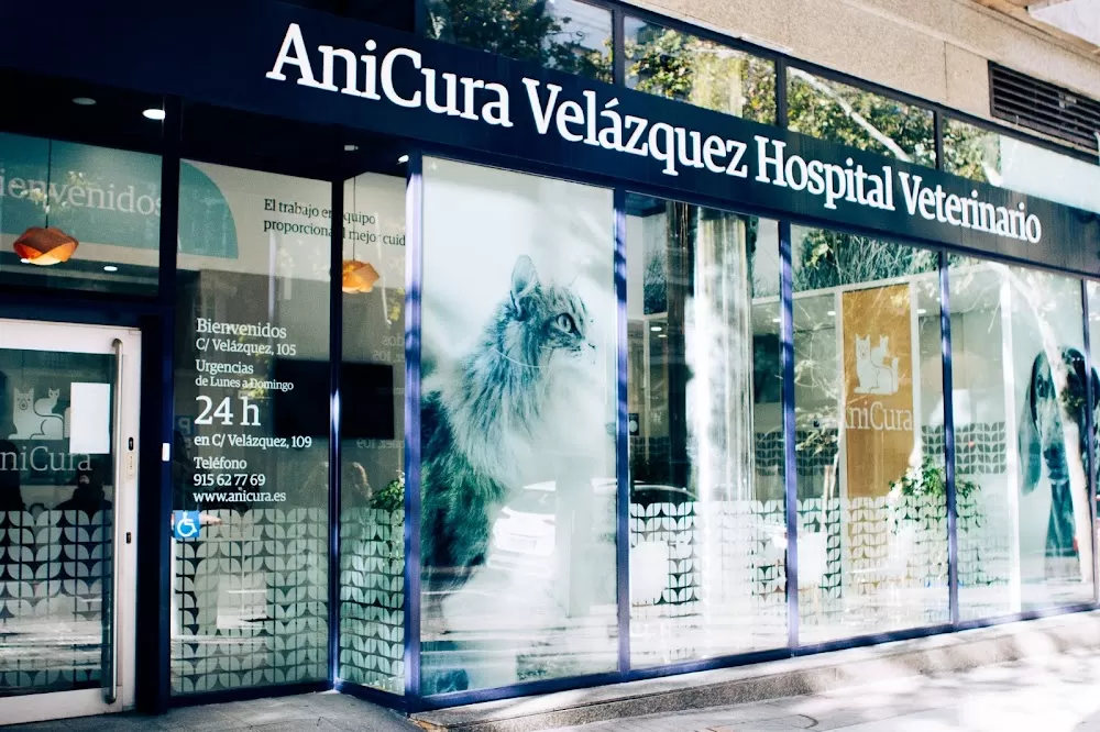 AniCura Velázquez Hospital Veterinario - Photo 3