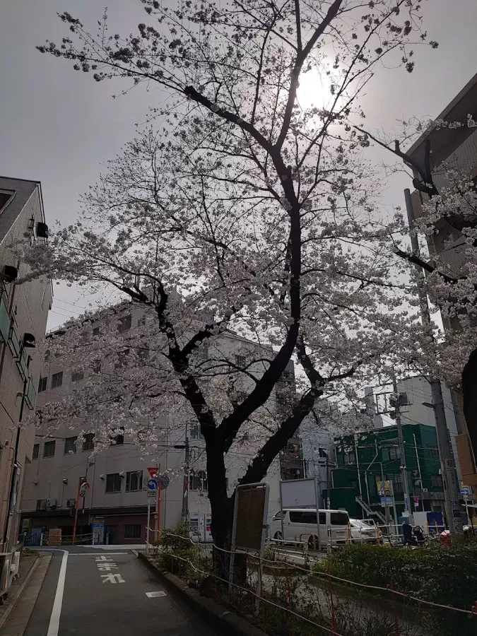 Honda Hospital - Photo 7