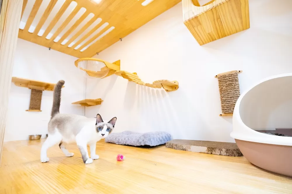 J.P. Animal Hospital - Photo 1