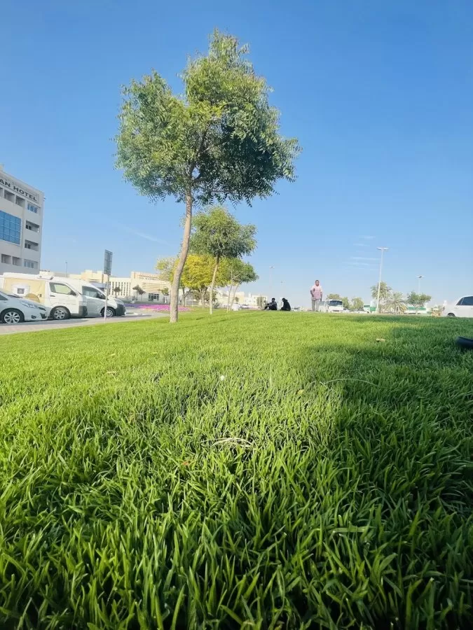 Al baraha - Photo 3