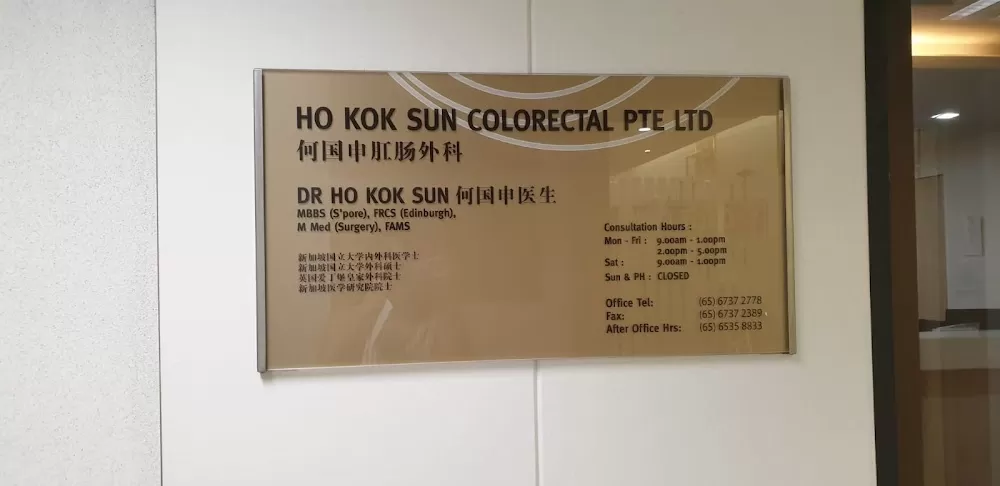 Ho Kok Sun Colorectal: Piles & Colon Surgeon - Photo 1