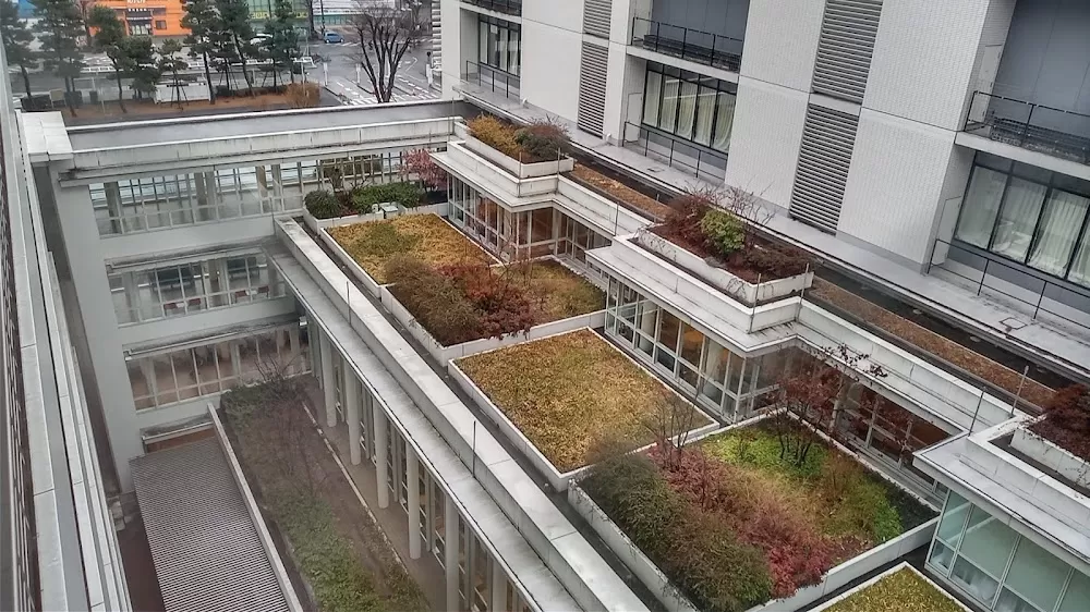 Kitasato University Hospital - Photo 5