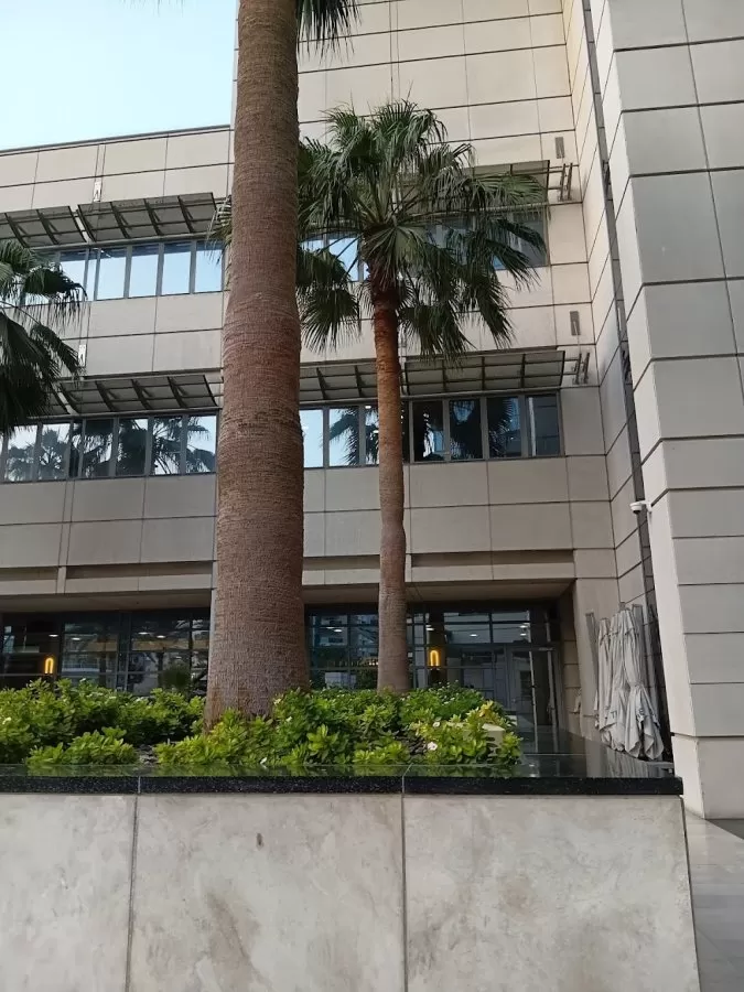 American Hospital - Dubai Hills Clinic - Photo 4
