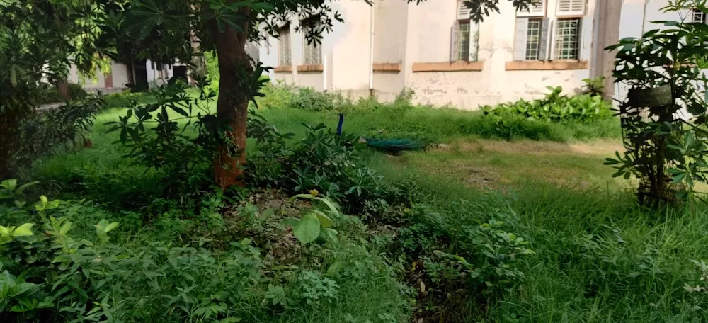 Hospital For Mental Health, Karelibaug. - Photo 2